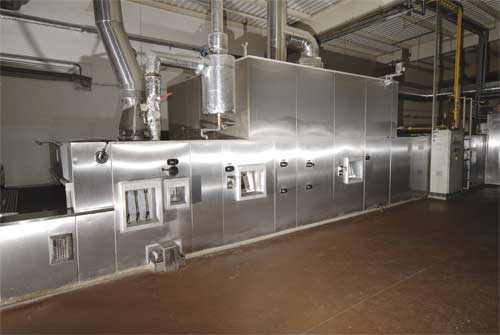 licno3V.jpg